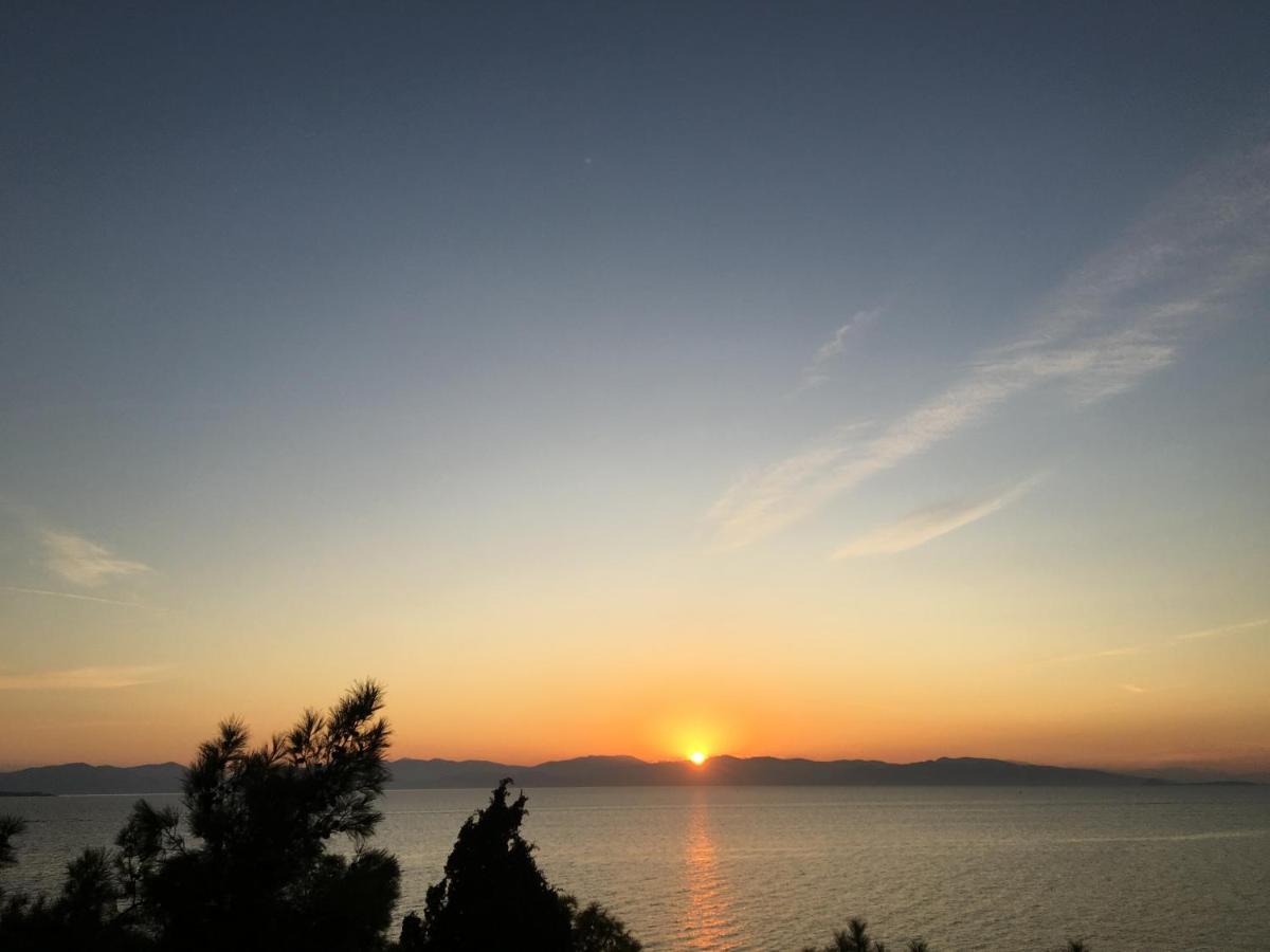 Pyrgos Ralli Estate Guesthouse Αίγινα Εξωτερικό φωτογραφία