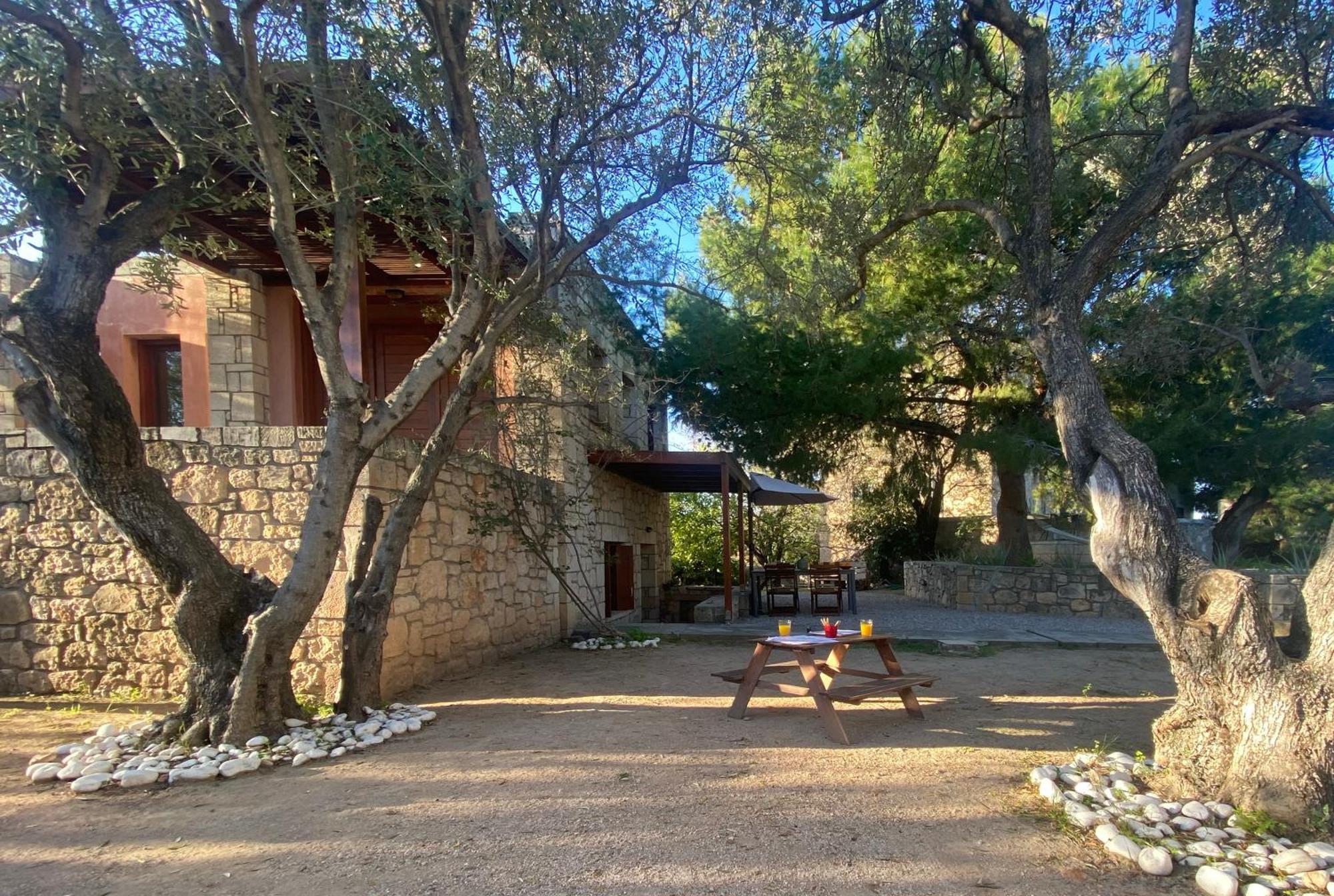 Pyrgos Ralli Estate Guesthouse Αίγινα Εξωτερικό φωτογραφία