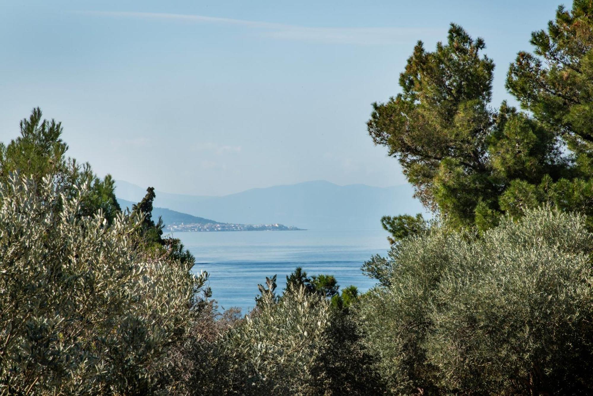 Pyrgos Ralli Estate Guesthouse Αίγινα Εξωτερικό φωτογραφία