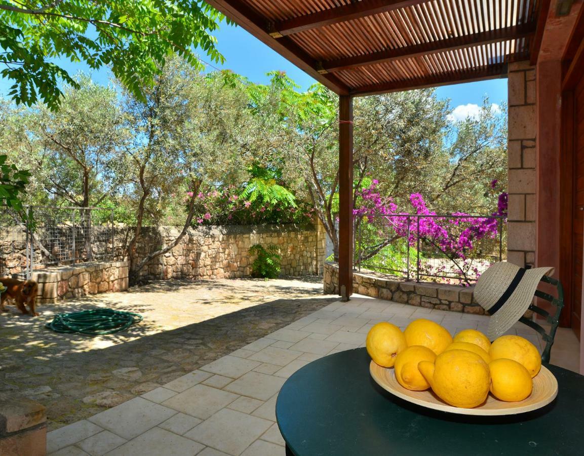 Pyrgos Ralli Estate Guesthouse Αίγινα Εξωτερικό φωτογραφία