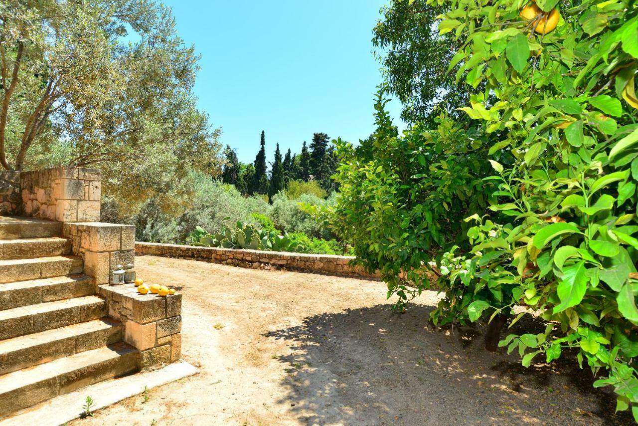 Pyrgos Ralli Estate Guesthouse Αίγινα Εξωτερικό φωτογραφία