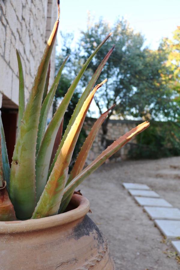 Pyrgos Ralli Estate Guesthouse Αίγινα Εξωτερικό φωτογραφία